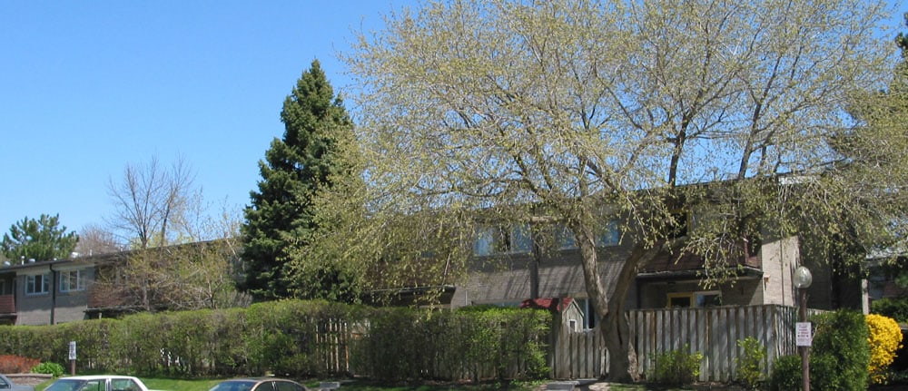 8 Roanoke Road, Toronto, ON M3A 1E6 - 2