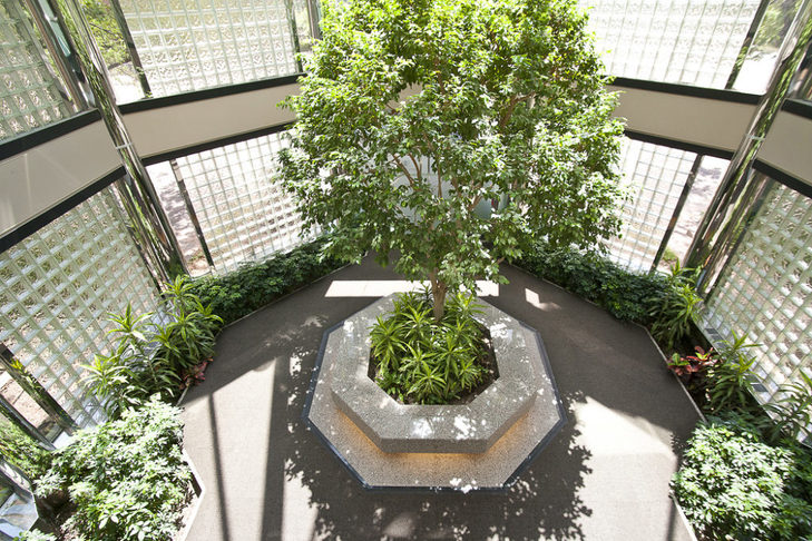 335 Webb Drive, Mississauga, ON L5B 4A1 - 5