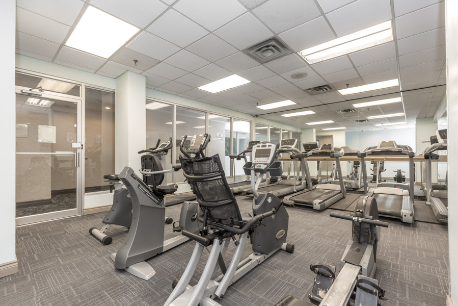 285 Enfield Place, Mississauga, ON L5B 3Y6 - 8