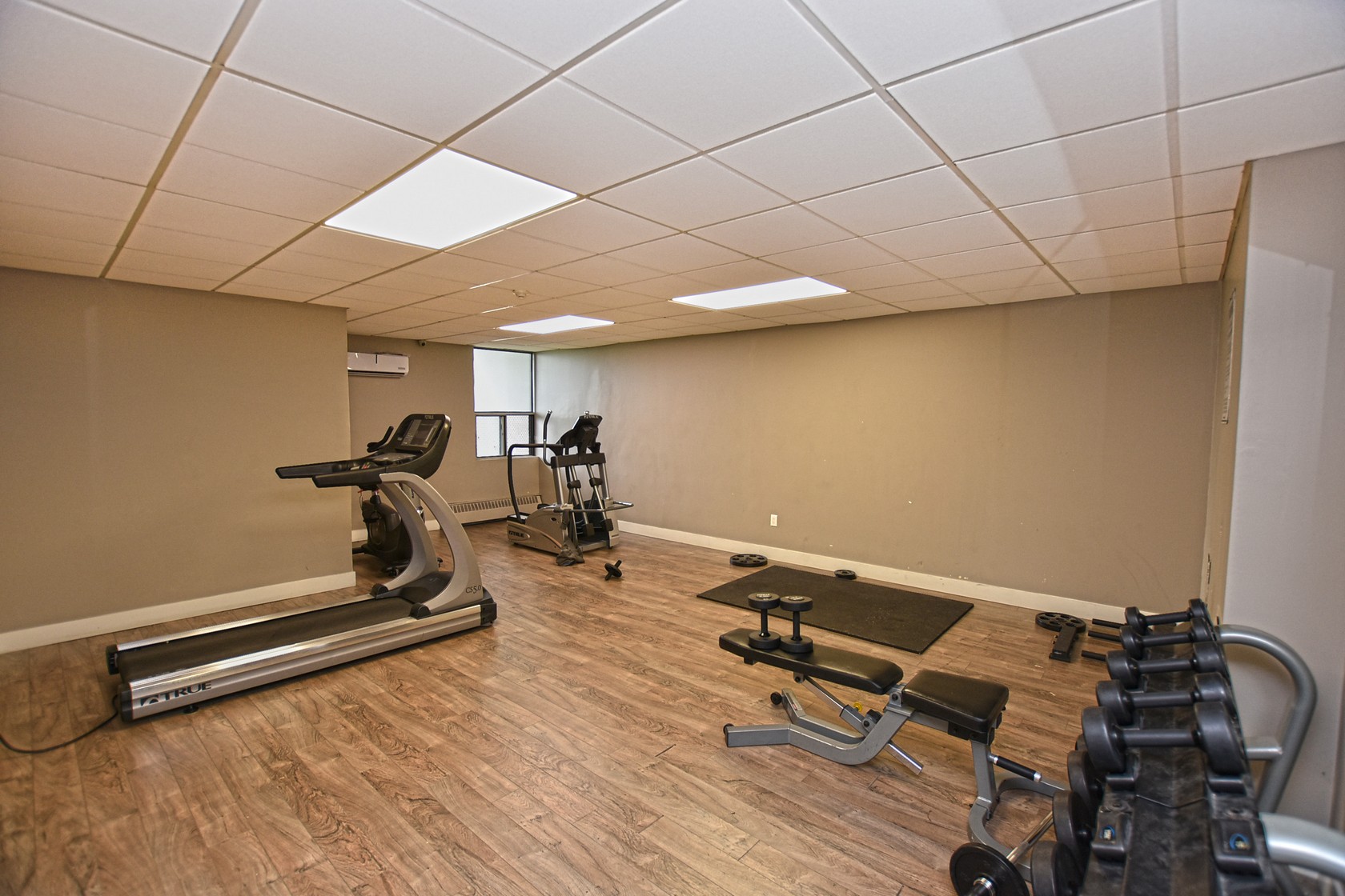 45 Sunrise Ave, Toronto, ON M4A 2S3 - 3
