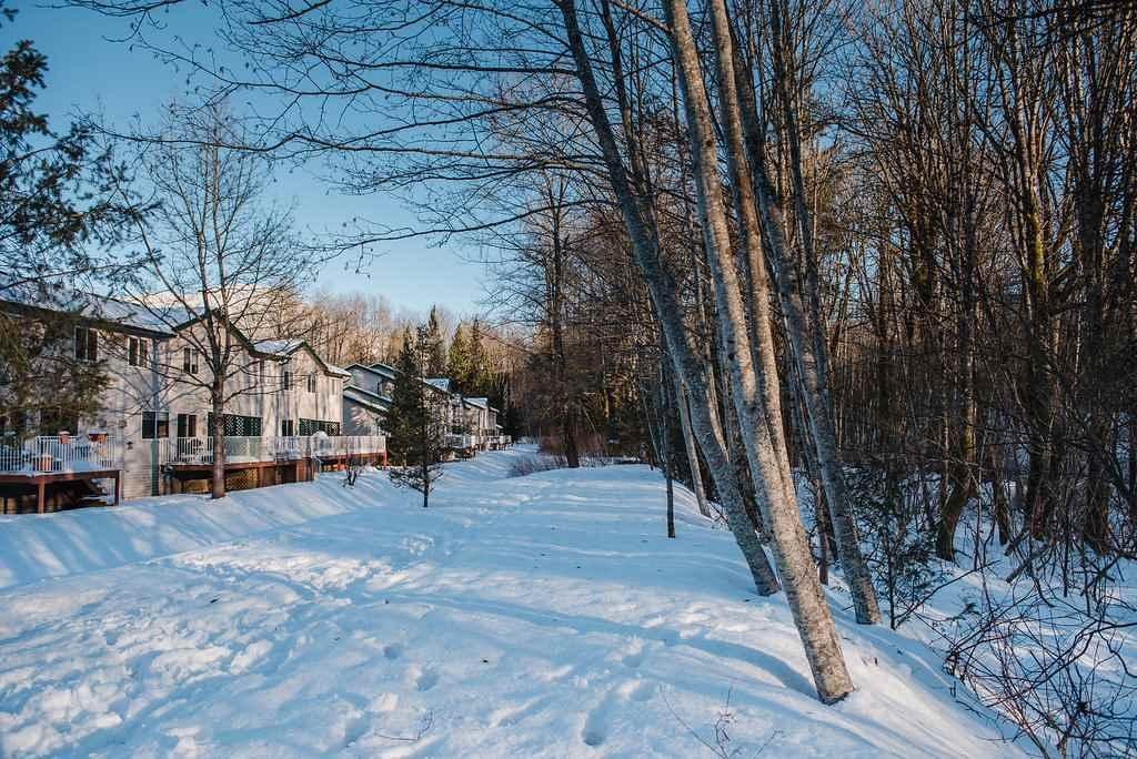 39920 Government Road, Squamish, BC V8B 0G5 - 2