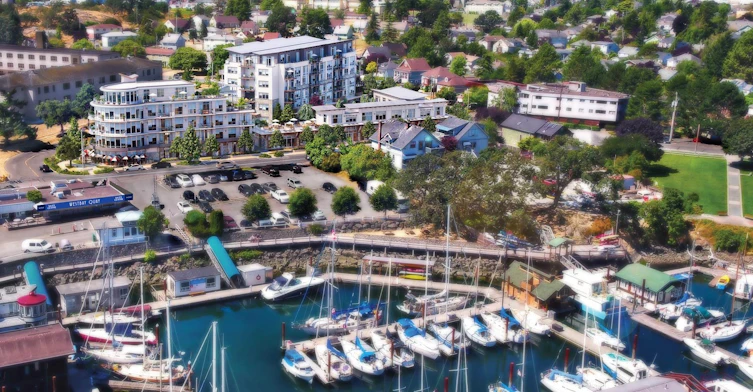 922 Lyall Street, Esquimalt, BC V9A 5E6 - 2