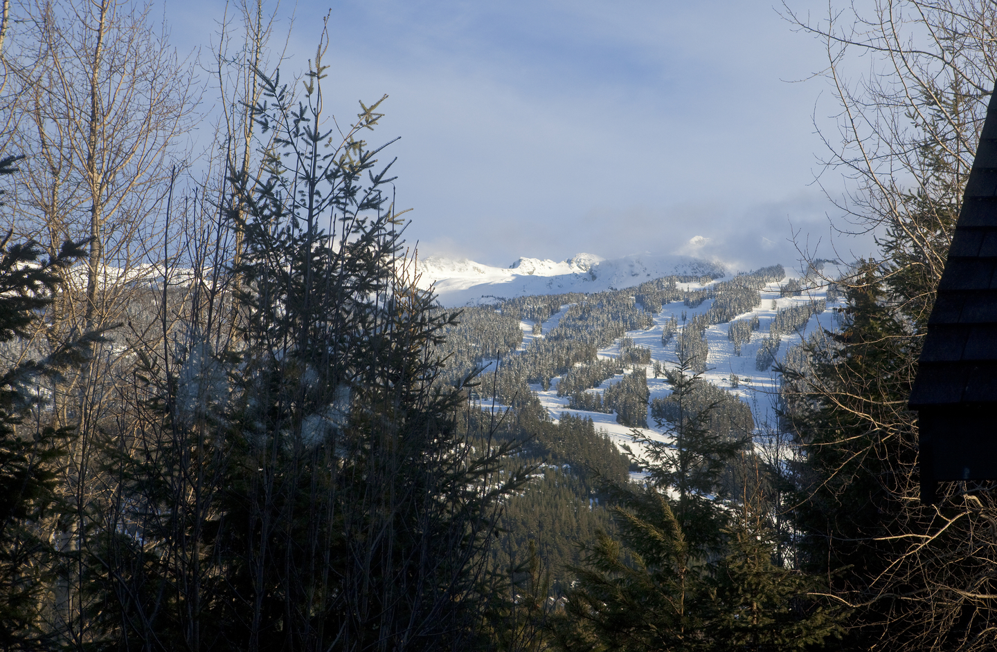 4375 Northlands Boulevard, Whistler, BC V0N 1B4 - 3