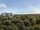 Narrative Condos