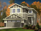 Forest Ridge