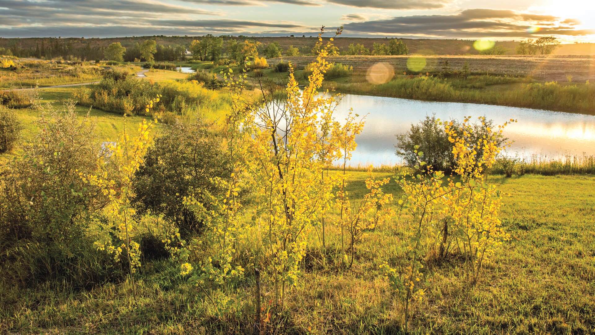 Cranston's Riverstone