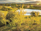 Cranston's Riverstone