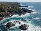 Wyndansea