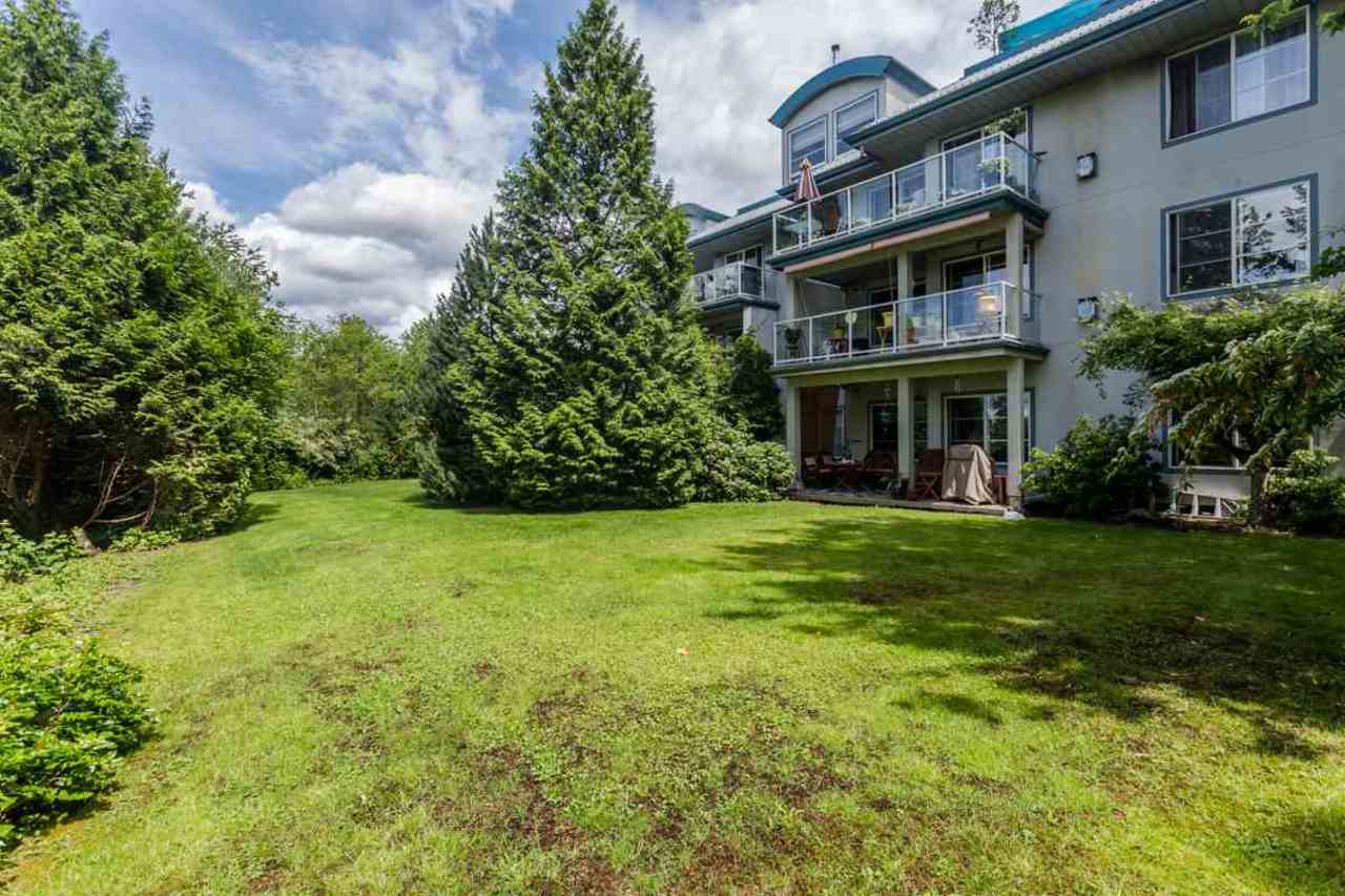 11519 Burnett Street, Maple Ridge, BC V2X 6P3 - 2