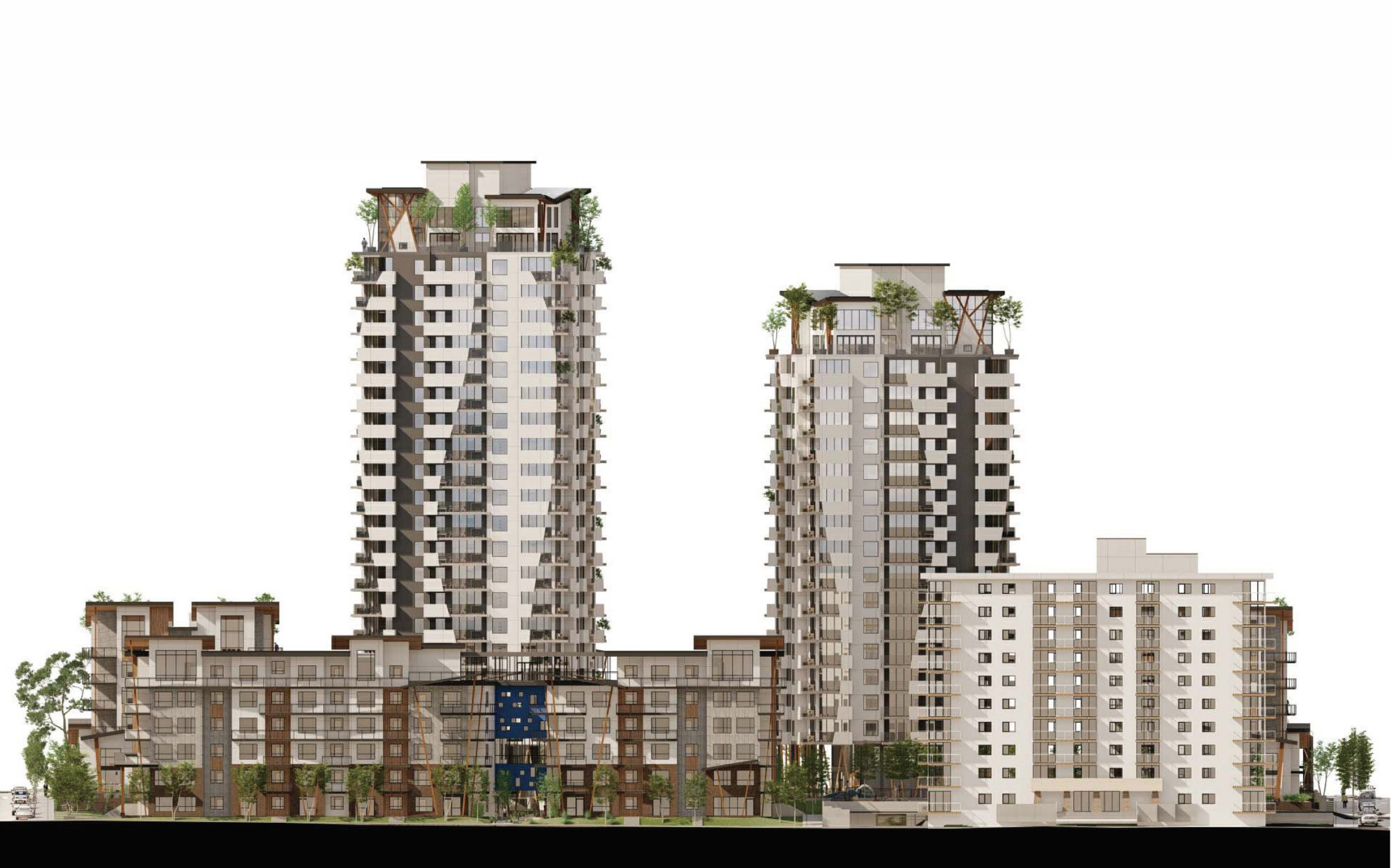 Alyssium at City Gardens