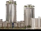 Alyssium at City Gardens