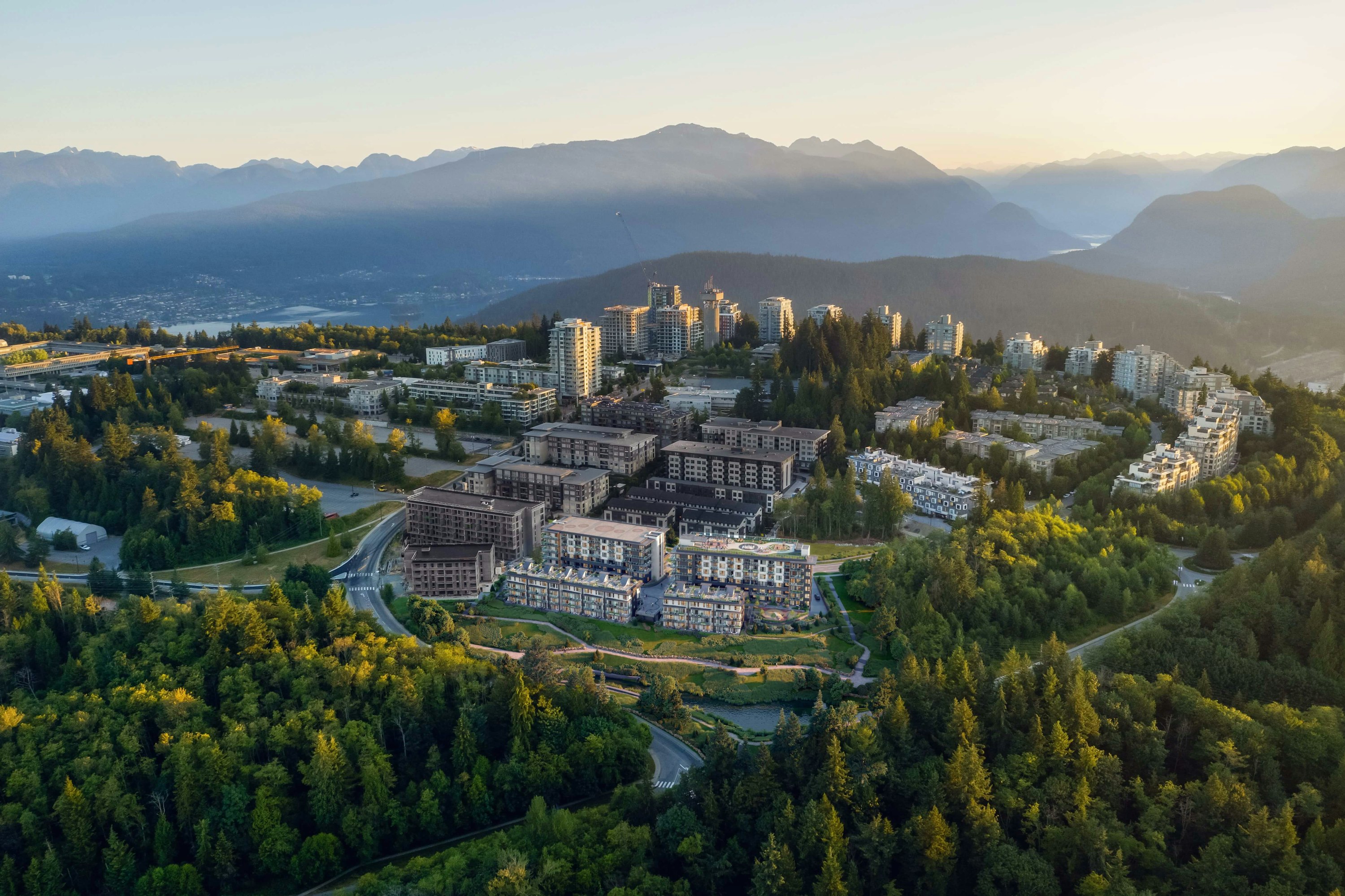 Arbour Features and Amenities REW