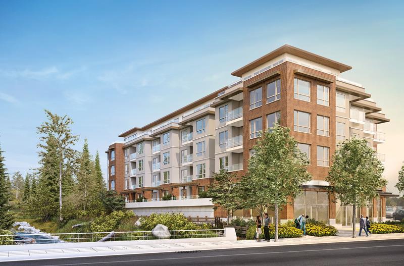 1621 Hamilton Avenue, North Vancouver, BC V7P 0B6 - 5