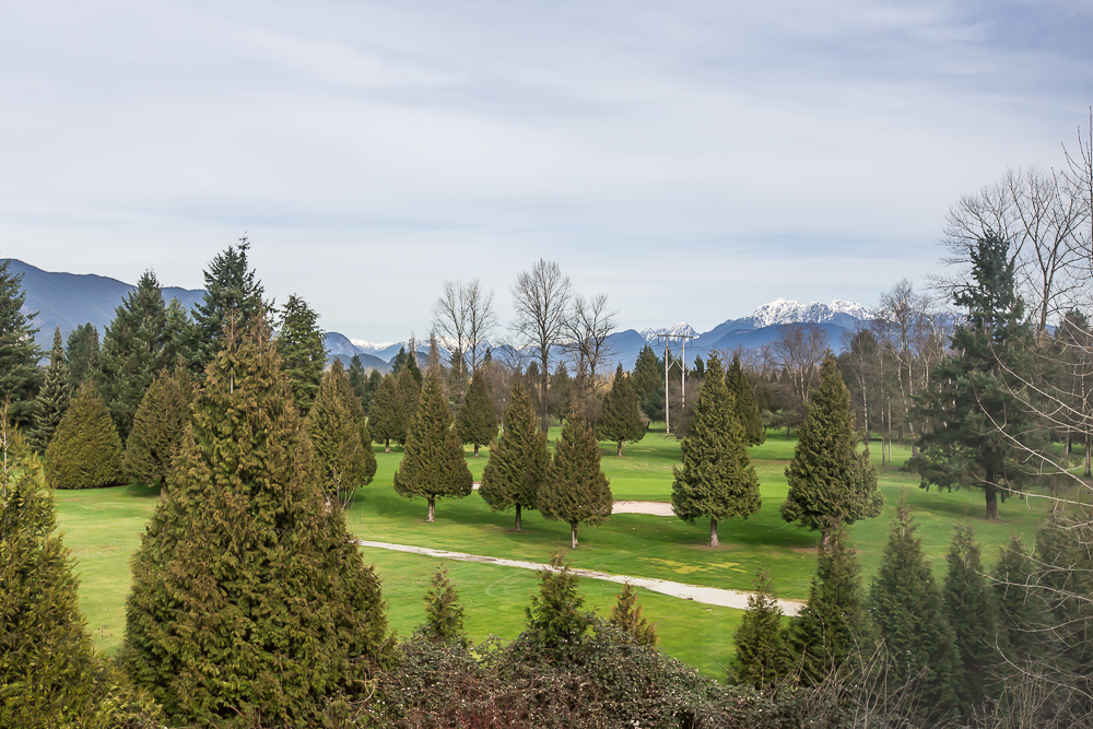 2418 Avon Place, Port Coquitlam, BC V3B 0C7 - 9