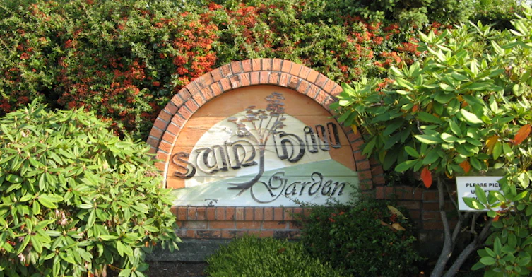 14223 18a Avenue, Surrey, BC V4A 7N8 - 6