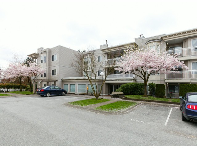 9942 151 Street, Surrey, BC V3R 0V4 - 2