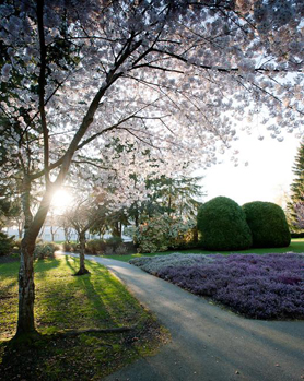 6251 Minoru Blvd., Richmond, BC V6Y 1Y4 - 4