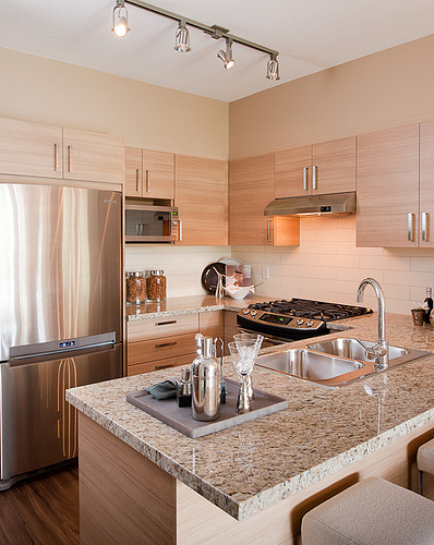 3156 Dayanee Springs Avenue, Coquitlam, BC V3E 0B7 - 4