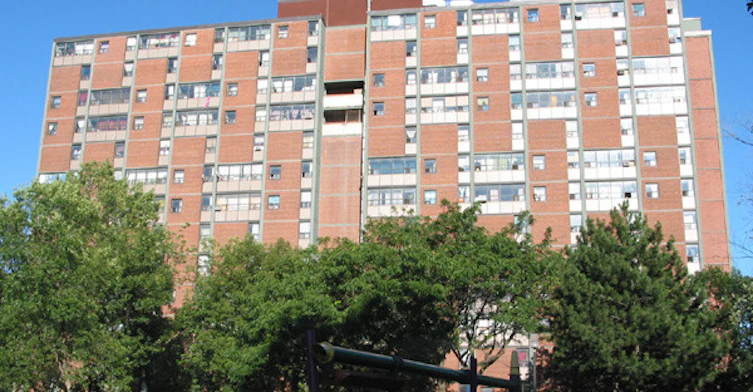 42 Blevins Place, Toronto, ON M5A 3M6 - 2