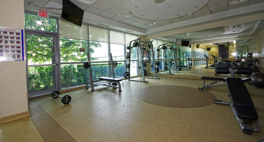 83 Borough Drive, Toronto, ON M1P 5E5 - 4