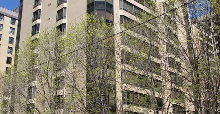 211 Saint Patrick Street, Toronto, ON M5T 2Y9 - 2