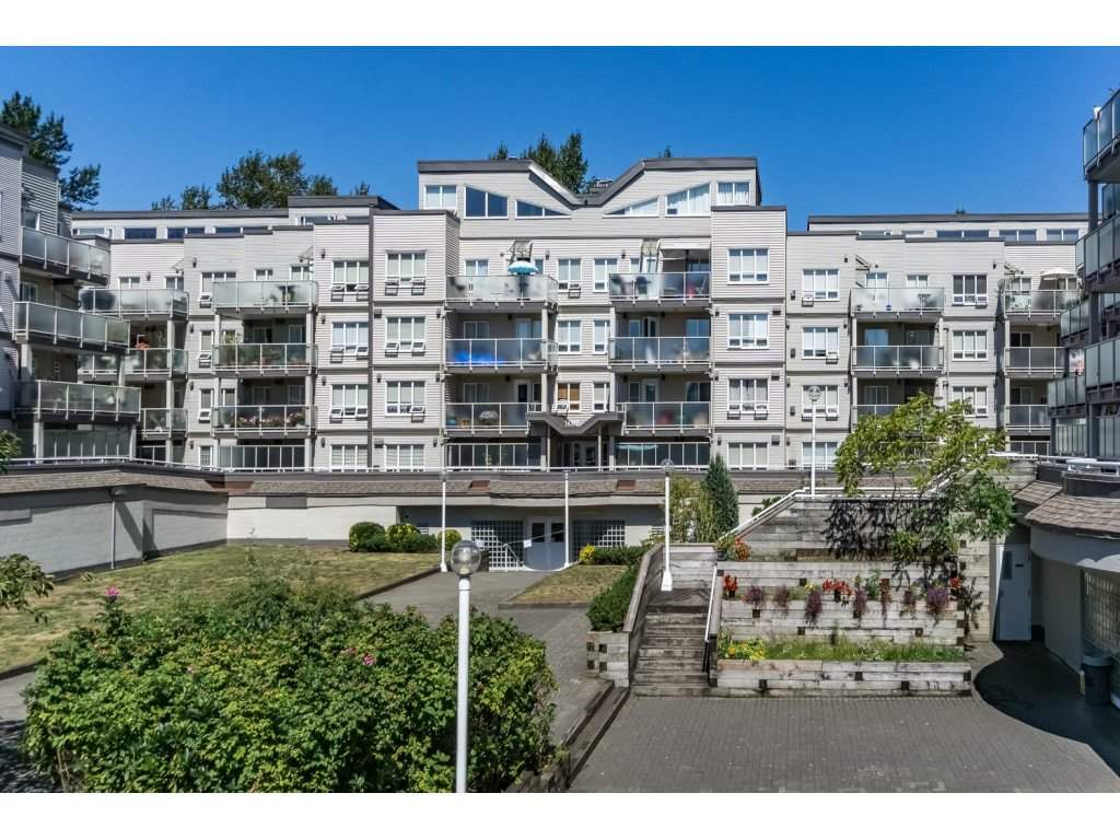 14377 103 Avenue, Surrey, BC V3T 5V5