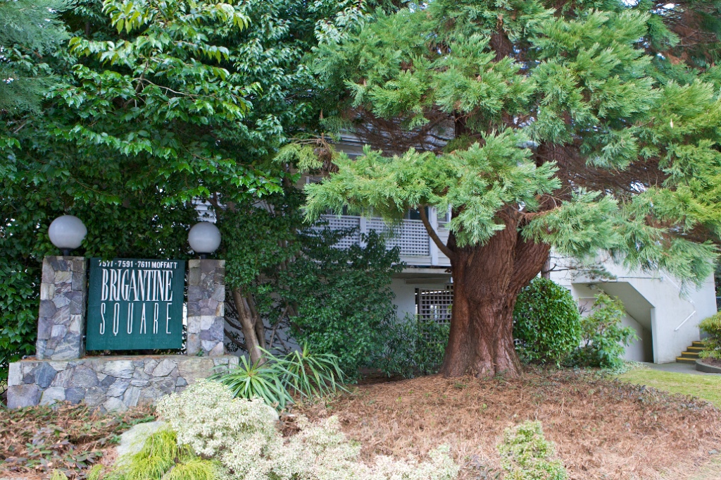 7591 Moffatt Road, Richmond, BC V6Y 3N2 - 2