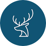 Whitetail Homes