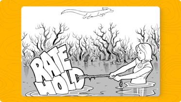 Rate holds: are they worth the hype?