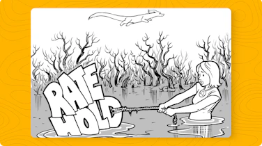 Rate holds: are they worth the hype?